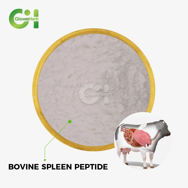 Bovine spleen peptide